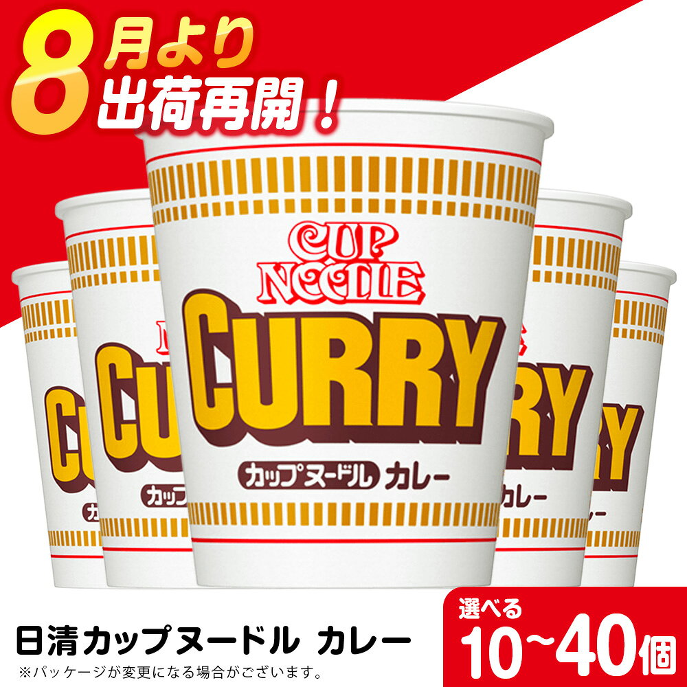 【ふるさと納税】 日清★カレーヌ−ドル★ 選べる10食〜40食 1箱（20食入） 麺類 ラーメンラーメン麺 即席麺 麺類 ラーメン カップ麺 インスタント 麺類 カップラーメン 【北海道千歳市】ギフト ふるさと納税