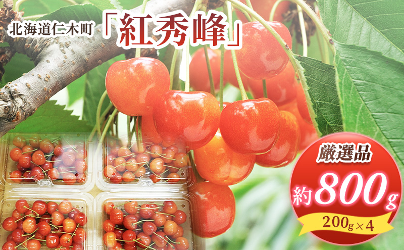 北海道 仁木町産 厳選品 さくらんぼ 紅秀峰 800g (200g×4パック) Lサイズ以上　旬 桜桃 産地直送 サクランボ チェリー フルーツ 果物 果物類 ギフト 仁木町 仁木 [松山商店]
