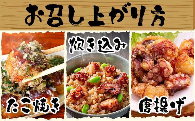 天草産 タコ ボイルカット 合計500g 高橋商店《30日以内に出荷予定(土日祝除く)》タコ 蛸 冷凍 カット済 小分けパック ボイル お刺身 たこ飯 たこ焼き ぶたあえ タコパ 唐揚げ 酢の物 国産