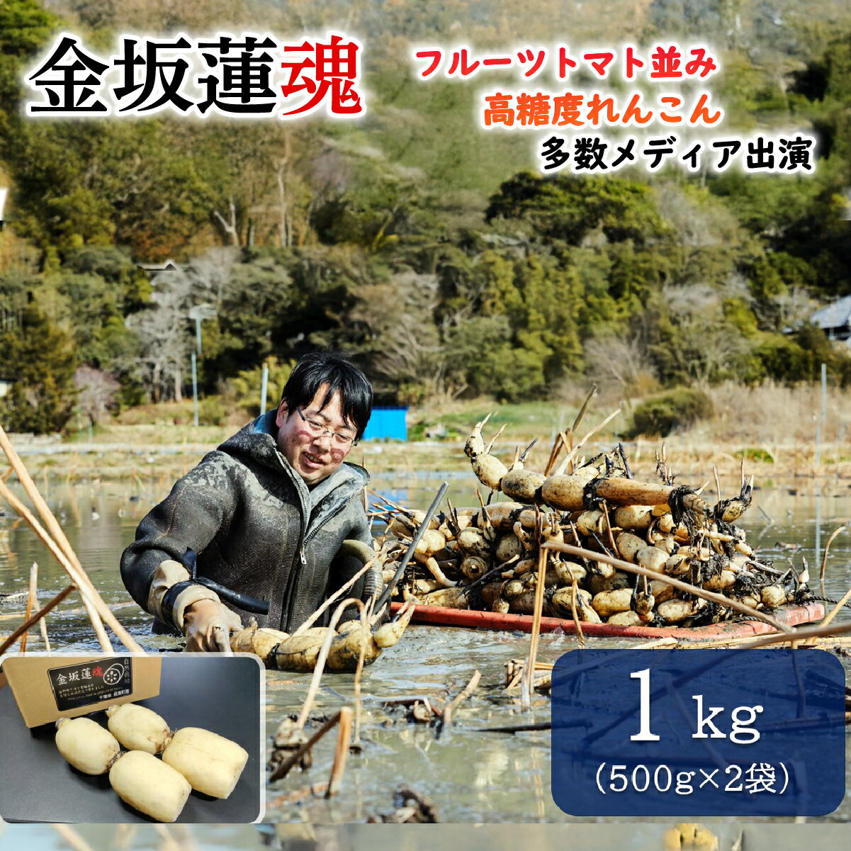 【ふるさと納税】【10月上旬～順次発送】 千葉県産 れんこん真空パック(1kg)自然栽培【金坂蓮魂】ふるさと納税 やさい 野菜 根菜 れんこん レンコン 蓮根 季節 旬 シャキシャキ 金坂蓮魂 かねさかれんこん カネサカレンコン 長南町 千葉県 CNX001