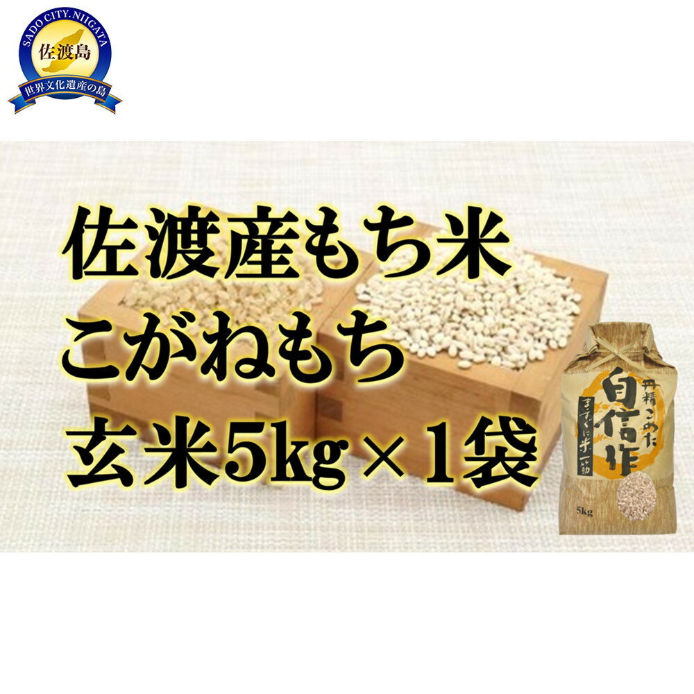 【ふるさと納税】【令和7年産】佐渡産もち米 こがねもち 玄米5kg×1袋 | 佐渡市 佐渡産 もち米 こがねもち 玄米 人気 おすすめ お米