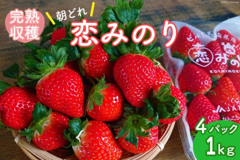 【先行受付】いちご 1kg以上 恋みのり 2Lサイズ以上 朝どれ シャインファームから直送 / 吉岡青果 / 長崎県 雲仙市 [item0832] / 果物 フルーツ イチゴ 苺 4パック 1キロ