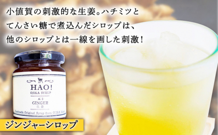 【3回定期便】HAO！赤土の恵み 定期便  ≪小値賀町≫ 【しまうま商会】 落花生 ピーナッツ 生姜 ジンジャー シロップ ピーナッツバター [DAA045] [DAA045]