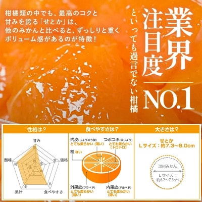 のま果樹園のせとか(3kg)[K003710K3]【1721899】