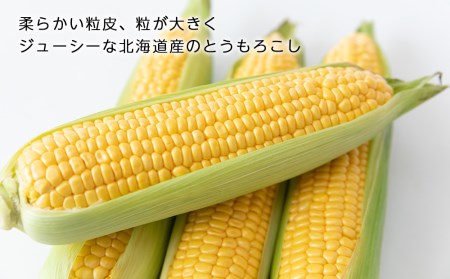 2024年夏発送 とうもろこし 10本セット【土居ファーム】