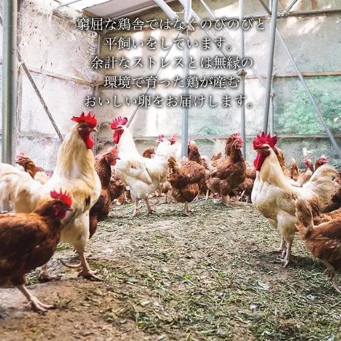 【定期便3か月】国産飼料にこだわった鶏が産む安全安心の 『レモン色たまご』30個（25個＋割れ保証5個） ［Hn7］