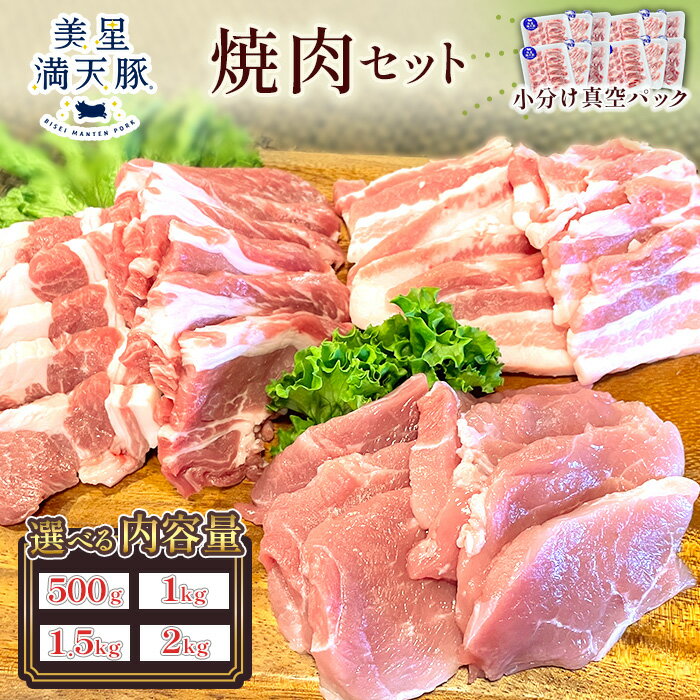 【ふるさと納税】豚 豚肉 豚肩ロース 豚ロース 豚バラ 豚モモ 小分け 真空パック 焼肉用 美星満天豚 焼肉 500g 1kg 1.5kg 2kgセット（豚肩ロース又は豚ロース、豚バラ、豚モモ）小分け真空パック
