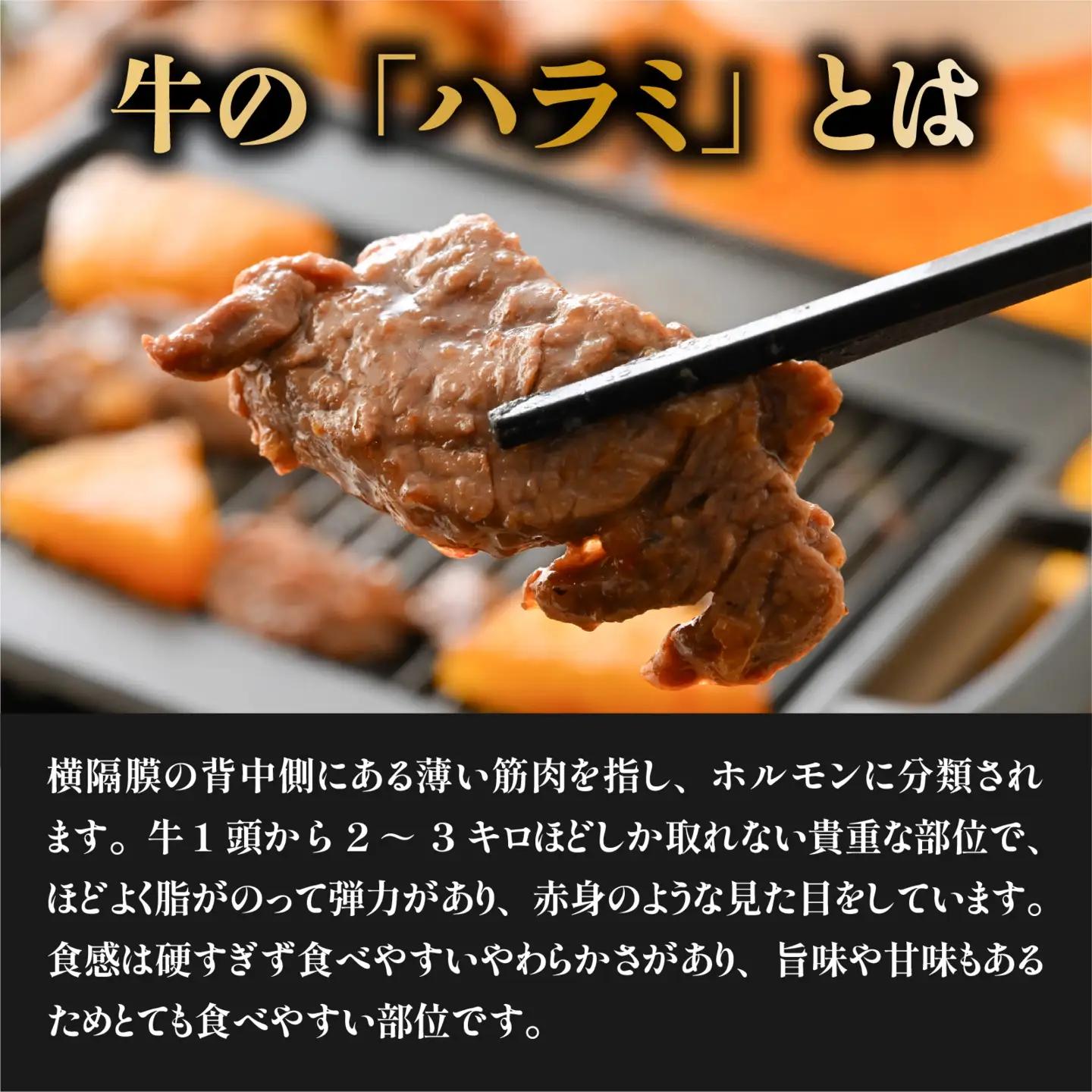 パイナップルハラミ（約250ｇ×2パック 計約500g） [A-066045] / 牛 牛肉 ハラミ 特製ダレ パイナップル 柔か 漬け込み 急速冷凍 焼肉 BBQ 福井市 送料無料