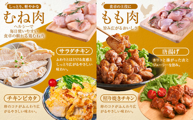 鹿児島県産 鶏肉 むね肉 もも肉 セット 各種 250g × 6パック 計3kg 《3-7日以内に出荷予定(土日祝除く)》鹿児島県 さつま町 鶏 鳥 むね もも 肉