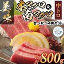 【ふるさと納税】 厳選天然本まぐろ中トロ2柵　と　厳選天然南まぐろ2柵 食べ比べ 合計800g まぐろ マグロ 鮪 本マグロ 本まぐろ 天然 魚 海鮮 魚介 比較