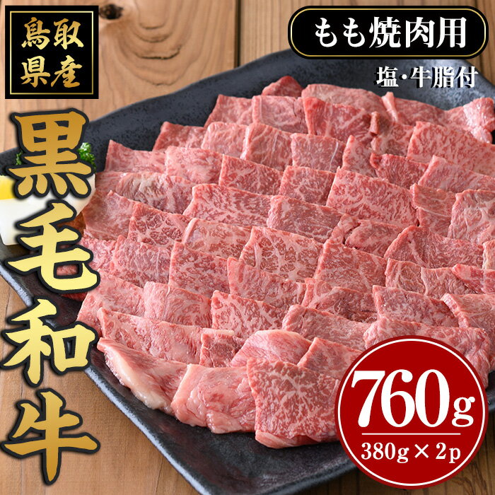 【ふるさと納税】鳥取黒毛和牛もも焼肉用(計760g)国産 鳥取県産 もも 牛肉 お肉 肉 牛脂 冷凍 オリジナル調味塩 お取り寄せ お祝い 【sm-AP008】【いろは精肉本店】