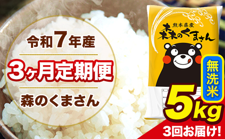 米 令和7年産 森のくまさん 無洗米 5kg 5kg×1袋 計3回お届け 《お申込み翌月から出荷》 お米 こめ 熊本県産 ご飯 備蓄