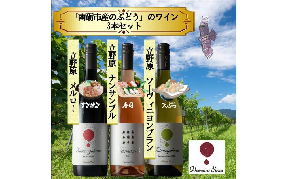 
            Domaine  Beau「南砺市産のぶどう」立野原ワイン3本セット
          