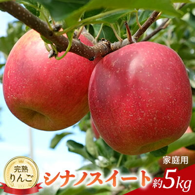 【ふるさと納税】先行予約 りんご シナノスイート 約5kg 2025年 令和7年発送 家庭用 完熟りんご 外観は不揃いだけど美味しいよ 林檎 リンゴ 傷 キズ 果物 くだもの フルーツ 旬の果物 旬のフルーツ 信州 長野 長野県 　お届け：2025年10月中旬～10月下旬ごろ