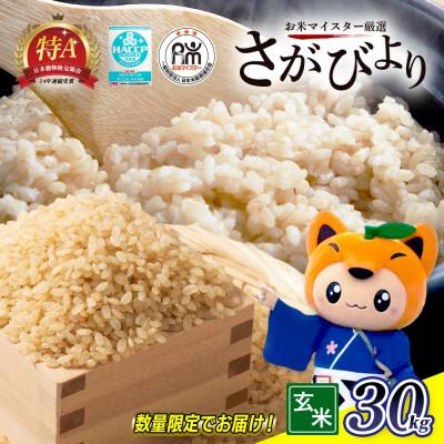 ふるさと納税 鹿島市 【令和7年産】佐賀県産 さがびより 玄米 30kg×1袋