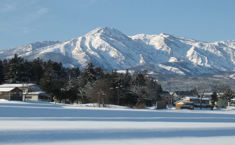 標高200mで育てた棚田米|令和7年・新潟県上越産・にじのき