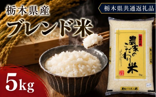 栃木県産 お米 白米 ブレンド米 5kg | 栃木県 矢板市　栃木県共通返礼品 栃木県産