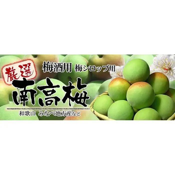 南高梅【緑】10kg 大サイズ 厳選南高梅 梅酒用 フレッシュ青梅 (生梅) ／紀伊国屋文左衛門本舗