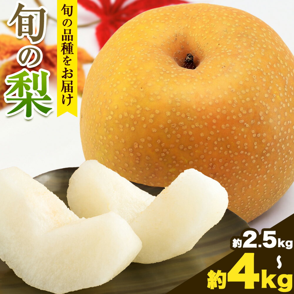 【ふるさと納税】 【先行予約】秀品 岡山県産 旬の 梨 約2.5kg 2~6玉前後 約4kg 3～10玉前後 梨 秀品 新高 愛宕 スイーツ フルーツ デザート 旬 岡山県 笠岡市《9月上旬-1月末頃に出荷予定》