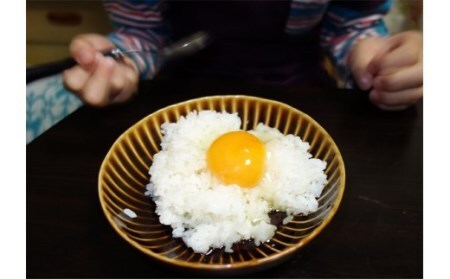 [数量限定] たまご 100個｜坂本養鶏 大山の麓で育ったさかもとのたまご 赤玉卵 玉子 鶏卵 [0091]
