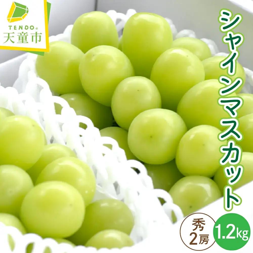 ぶどう ( シャインマスカット ) 2房 1.2kg 果物 ぶどう