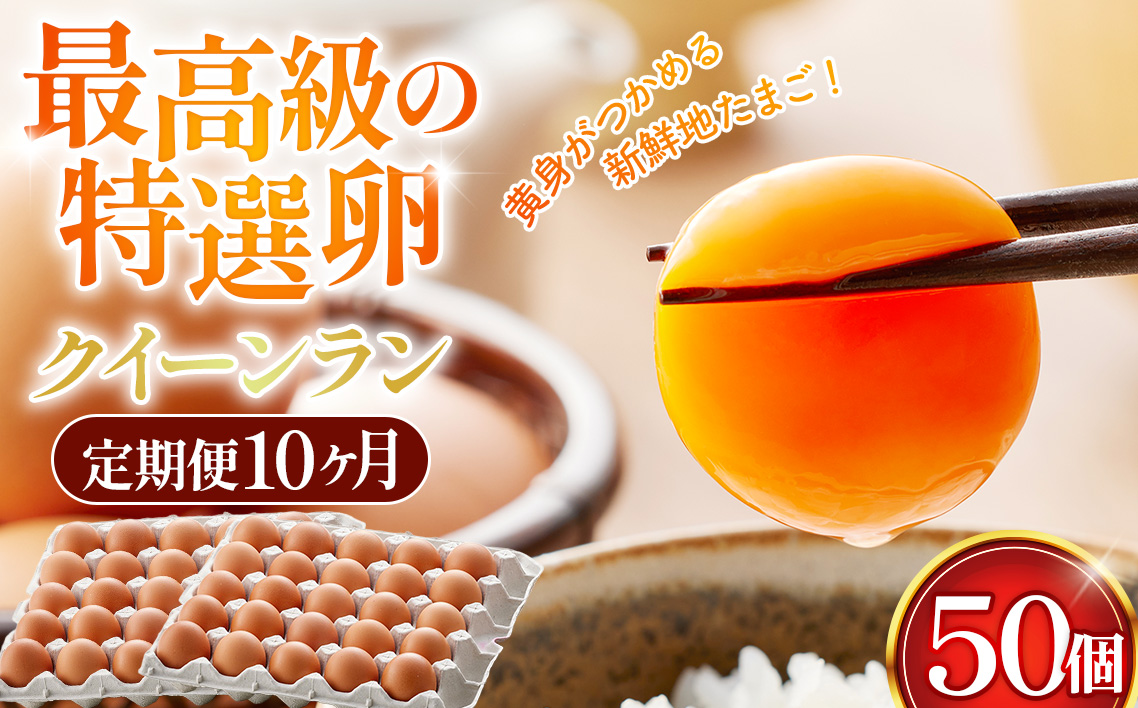 黄身がつかめる新鮮地たまごクイーンラン 赤玉50個入《定期便10ヶ月》