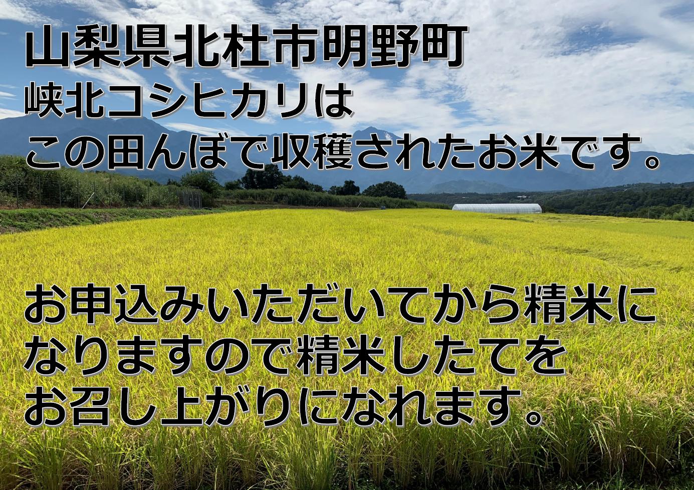 山梨県産峡北コシヒカリ無洗米10kg