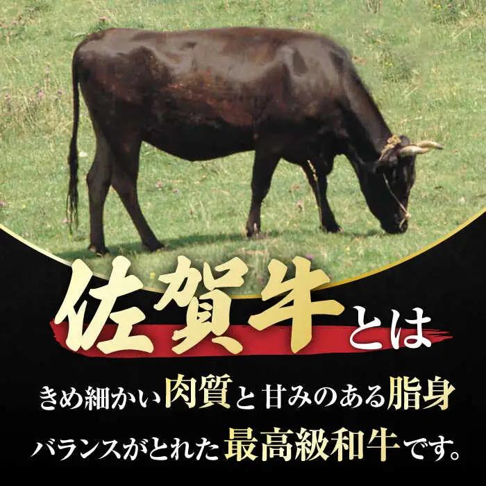佐賀牛 ロースステーキ2枚とサイコロステーキ 計500g 吉野ヶ里町/一ノ瀬畜産 佐賀牛 牛肉 肉 国産 ブランド牛 ロース ステーキ サイコロステーキ [FDC004]
