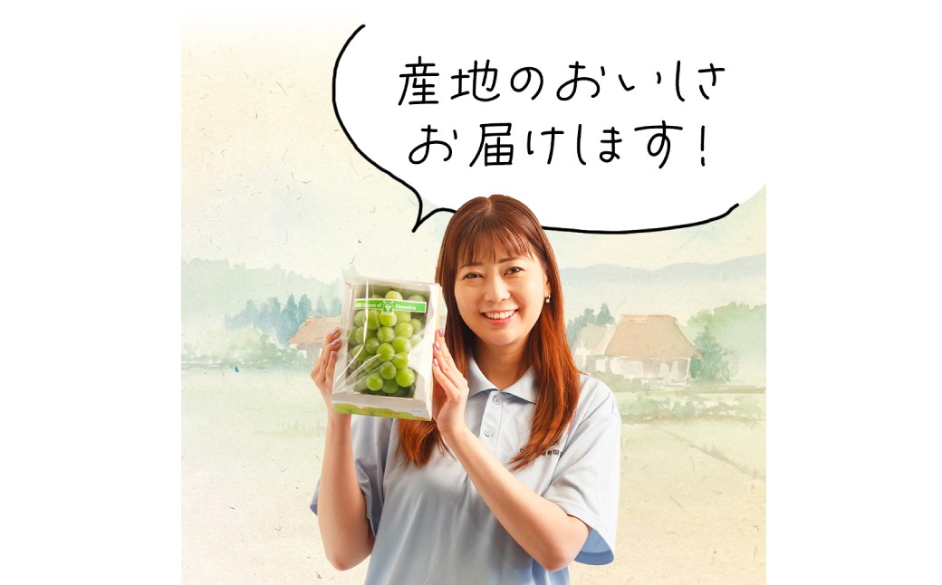 【先行予約】岡山県産 マスカット・オブ・アレキサンドリア 1房（700g以上・秀品以上 ）化粧箱入り