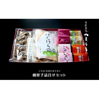 ふるさと納税 大野市 老舗和菓子店の詰合せセット 奥越菓庵やまうち