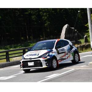 ラリージャパン【額田SS日近の里観戦券/大人1名+子ども1名/マイカー乗入(乗用車)形埜小学校駐車】【1712737】