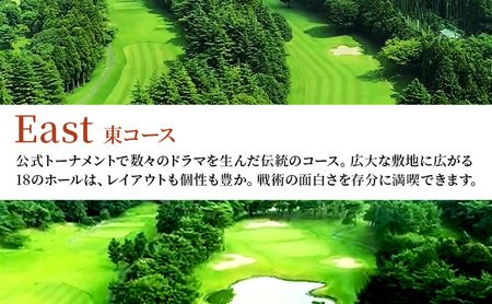 ゴルフ場 千葉 姉ヶ崎カントリー倶楽部 キャディー付プレー 平日のみ 1名様 ゴルフ 関東 チケット ゴルフ場利用券 プレー券 施設利用券 