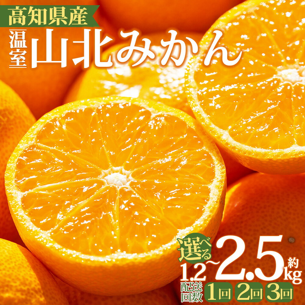 【ふるさと納税】【2026年発送分】山北温室みかん 約1.2kg/約2.5kg - 選べる お届け回数 定期便 2回 3回 数量 内容量 秀品 果物 くだもの フルーツ 柑橘 蜜柑 お歳暮 ギフト 産地直送 送料無料 小玉大玉 国産 品種 年内配送 御礼 お礼 高知県 香南市 10000円以上 1万円以上
