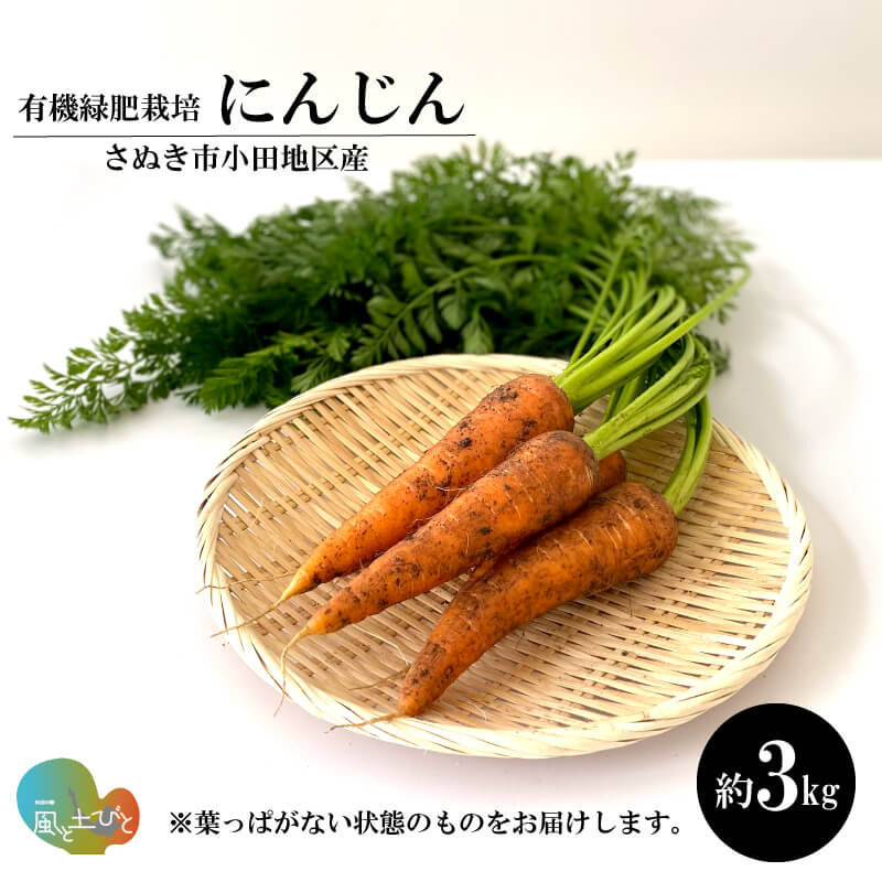 
【農薬・化学肥料不使用】にんじん 3kg 有機緑肥栽培【2023年11月末頃より出荷】【予約販売】
