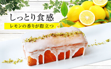【2回定期便】 ドライフルーツのタルト ＆ 自家製レモンケーキ 2回に分けてお届け！【Toki Italian SAI】 ドライフルーツ タルト レモンケーキ[MCY008]