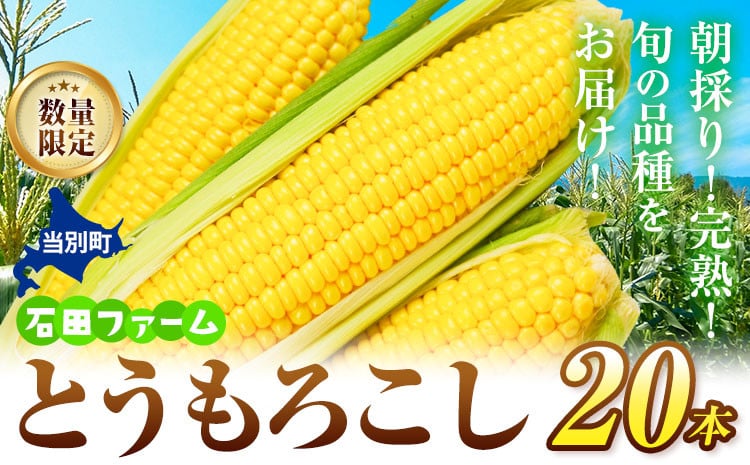 
            [1.4-218] 石田ファーム とうもろこし詰め合わせ２０本セット 北海道 当別町 st-p
          