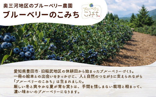〈即日発送〉無農薬！こだわりのブルーベリーを5種類使用！ブルーベリー アイス(80ml)×7個入り アイスクリーム アイス ブルーベリー