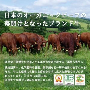 北海道産 オーガニック牛肉 挽肉(ひき肉) 約1.2kg【国産牧草牛・北里八雲牛】【配送不可地域：離島】【1347487】