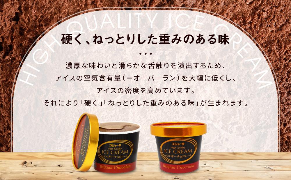 シンカンセンスゴイカタイアイス（ベルギーチョコ）11個入り