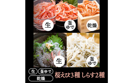 桜えび３種、しらす２種セット【配送不可：離島】