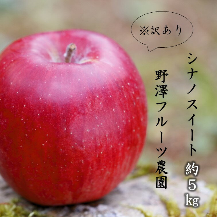 【ふるさと納税】 387 先行予約 ※訳あり りんご：シナノスイート5kg 11月中下旬以降発送【野澤フルーツ農園】