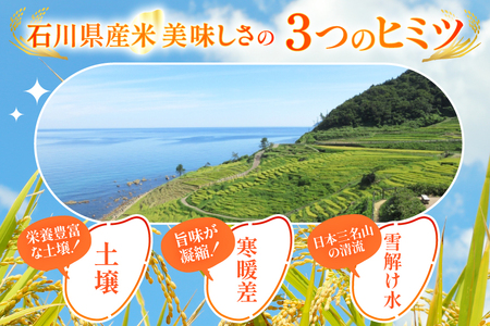 米 無洗米 令和7年産 石川県産 ひゃくまん穀 10kg (5kg×2袋) [中橋商事株式会社 石川県 宝達志水町 38601325] 