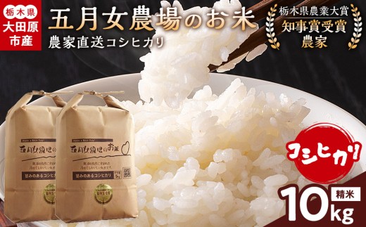 【スピード発送】令和8年産  新米  栃木県大田原産コシヒカリ 白米 10kg  栃木県農業大賞 知事賞 受賞農家 メディア出演多数 五月女農場 農家直送 産地直送 産直 栃木県 大田原市 こしひかり
