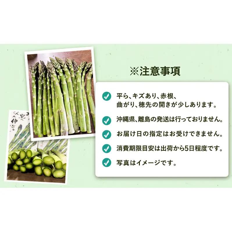 ［武田農園とれたて直送］2027年春～発送 訳あり グリーンアスパラ サイズ混合 約2kg ご家庭用 やわらかくて抜群に甘い！北海道 富良野産 ( アスパラガス アスパラ 野菜 新鮮 産地直送 先行予