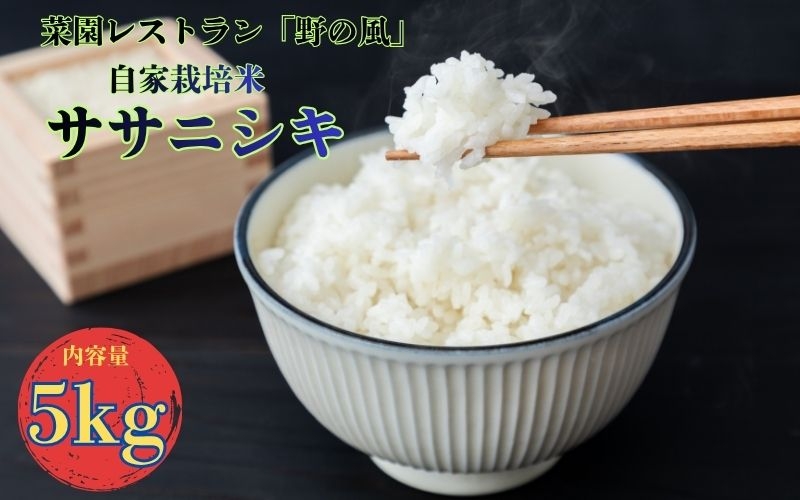 
                  【令和7年産】数量限定 菜園レストラン「野の風」自家栽培米 ササニシキ5kg【hnyk006】
                