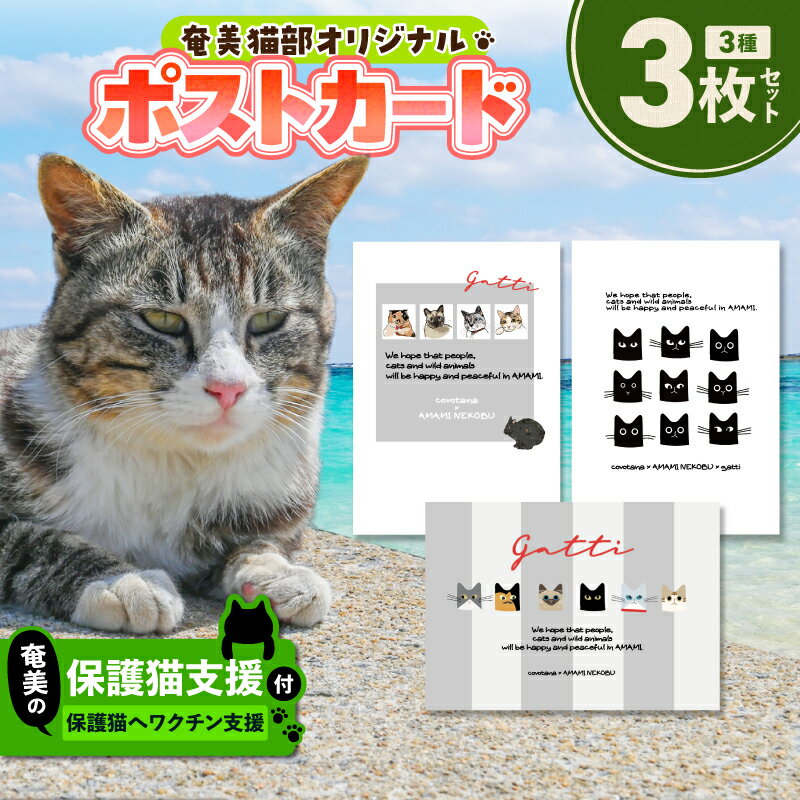 【ふるさと納税】【奄美の保護猫支援 ワクチン代】＋ ポストカード 3枚 セット お手紙 猫デザイン 猫カフェ 保護猫 猫 支援 cafeCOVOTANA 鹿児島 奄美市 おすすめ ランキング プレゼント ギフト