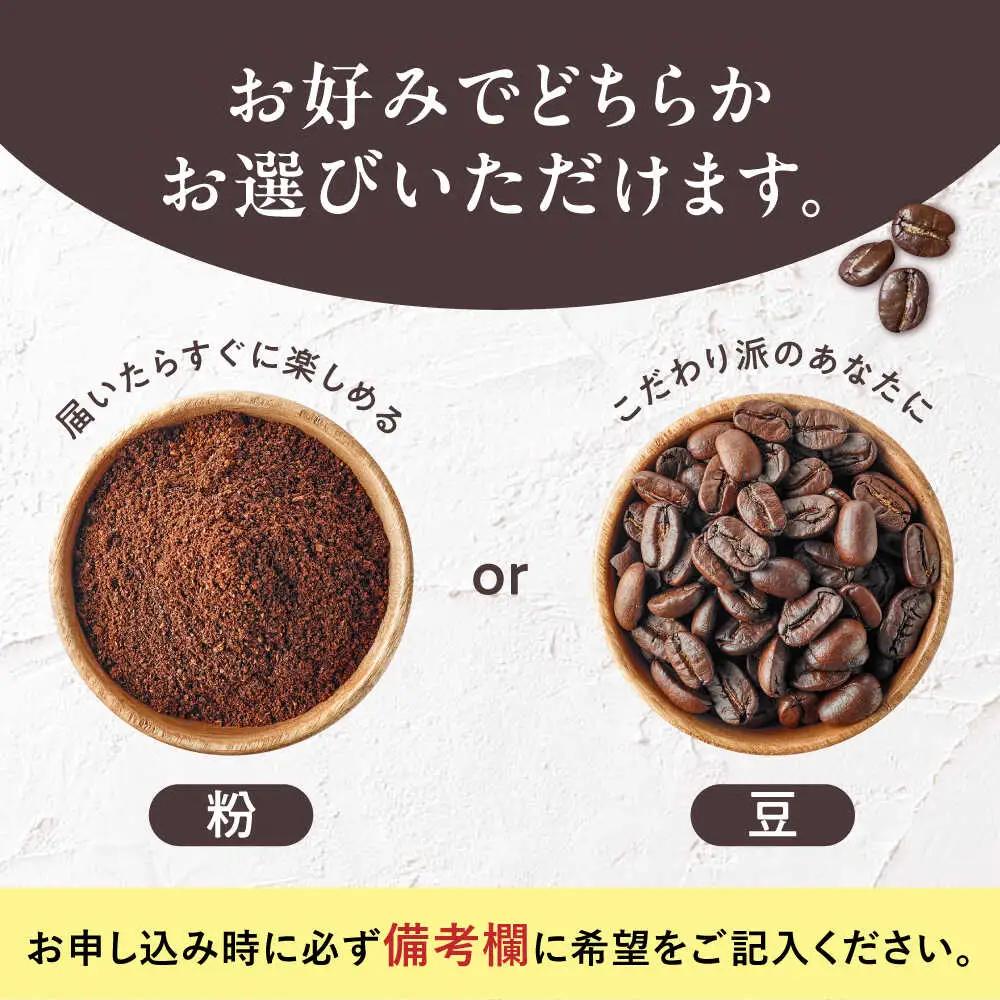【全3回定期便】スペシャル ブレンド コーヒー 500g×2 中煎り VAS173 珈琲 コーヒー