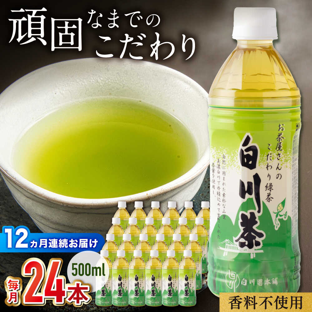 【ふるさと納税】【12回定期便】 白川茶ペットボトル 500ml×24本入 緑茶 お茶 ペットボトル 500ml ケース 白川町 / 白川園本舗[AWAT008]