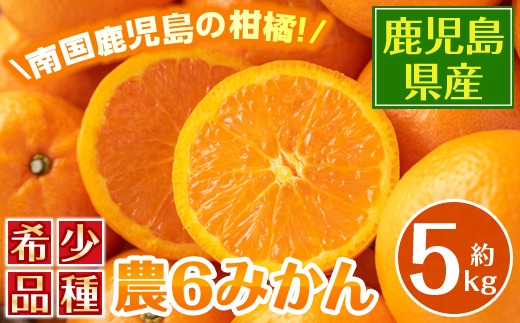 i585 ＜2026年3月下旬～6月中旬の間に発送予定＞農6みかん(約5kg) 果物 フルーツ 柑橘 国産 鹿児島県産 みかん 蜜柑 【江崎果樹園】