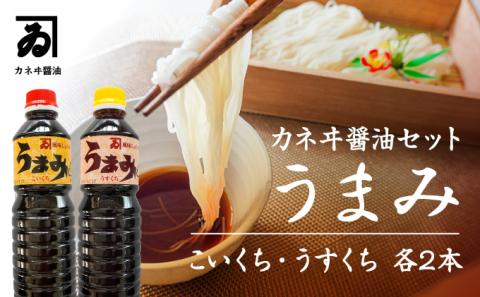 H-88 【明治2年創業 カネヰ醤油】風味醤油「うまみ」こいくち・うすくち各500ml×2本セット